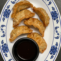 Fried Dumplings (6)